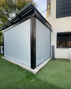 ����� ���� ������