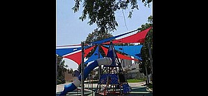    325   