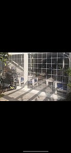 ����� ���� �� ������ ��� ���� ������ ����� ( ����� ������� / ����� ��� ����� ������� ������ �� ����� ������)(����� ��� ����� �� ���� ���� ����� ����� ������)