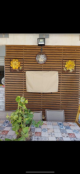 ����� ����