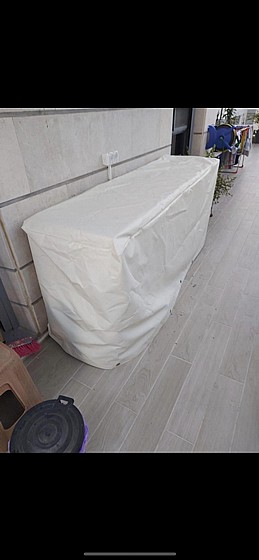 ����� ����