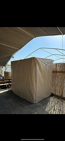 ����� ����