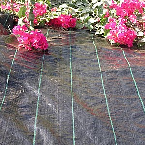 ����� ���� - ��PP ���� "������" ������ ���� �������
