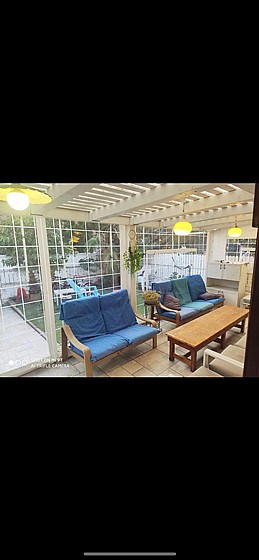 ����� ����