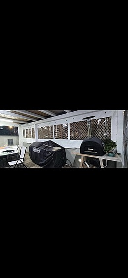 ����� ����