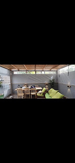 ����� ����