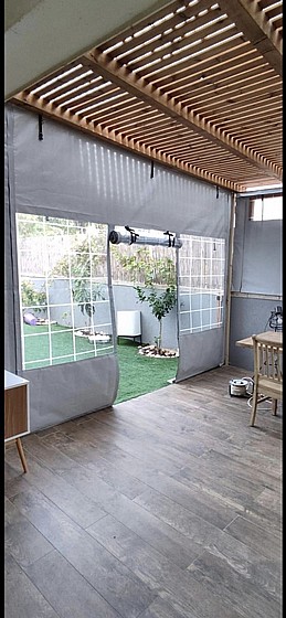 ����� ����