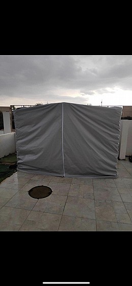 ����� ����