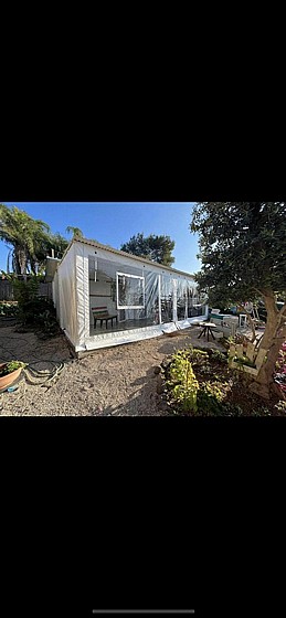 ����� ����