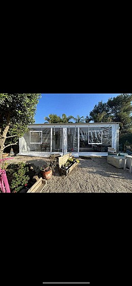 ����� ����