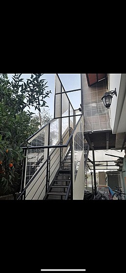 ����� ����