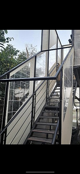 ����� ����