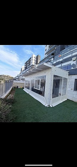 ����� ����