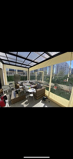 ����� ����