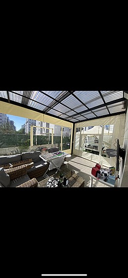 ����� ����