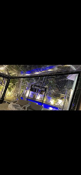 ����� ����