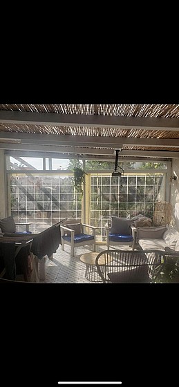 ����� ����