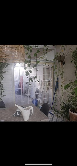 ����� ����