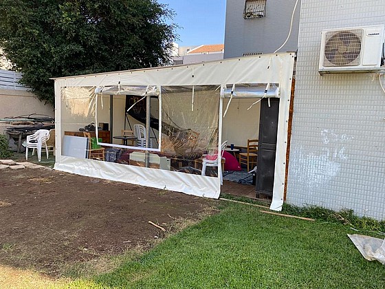 ����� ����