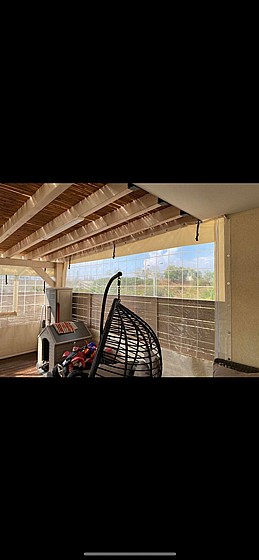 ����� ����