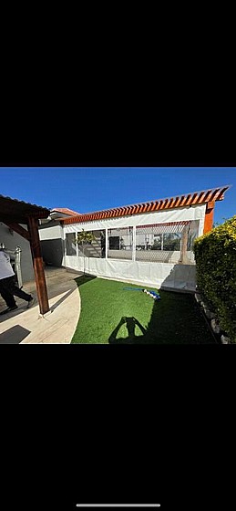 ����� ����