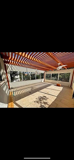 ����� ����