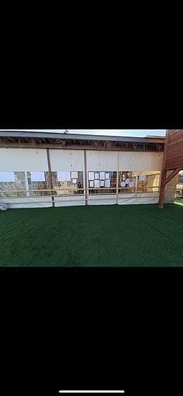 ����� ����