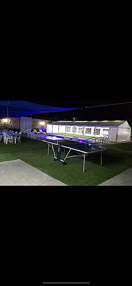 ����� ����