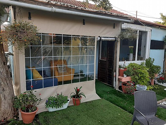 ����� ����