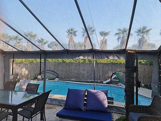 ����� ����