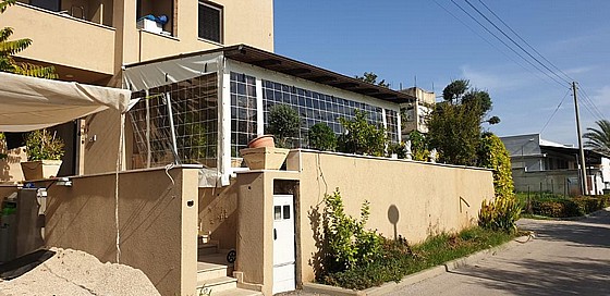 ����� ����