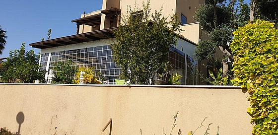 ����� ����