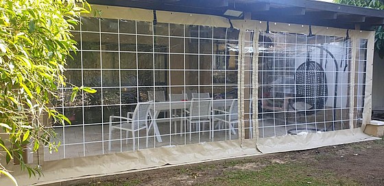 ����� ����