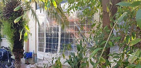 ����� ����