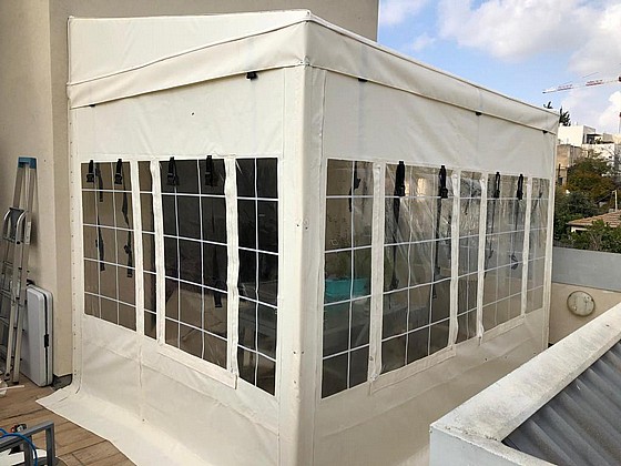 ����� ����