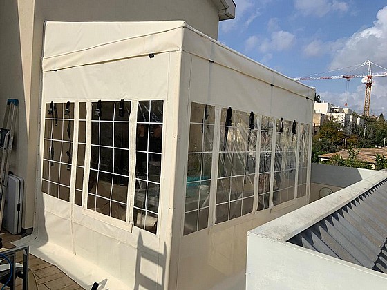 ����� ����