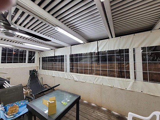 ����� ����