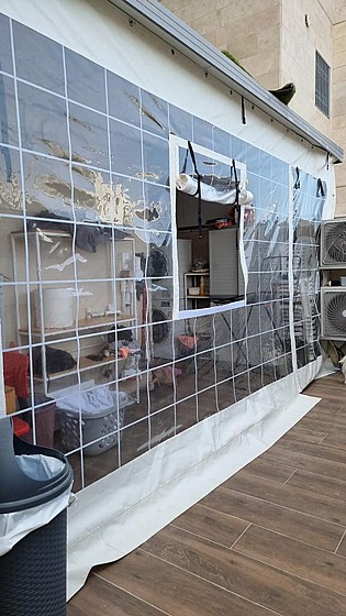 ����� ����