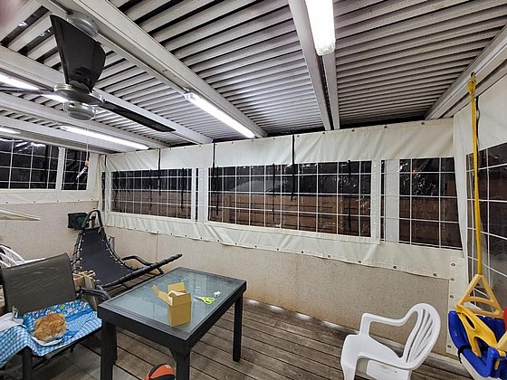 ����� ����