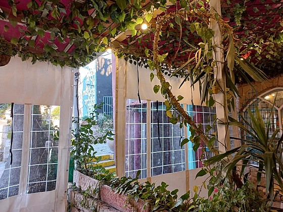 ����� ����