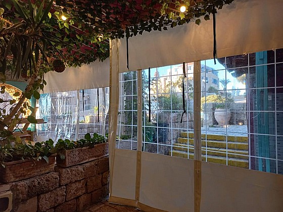 ����� ����