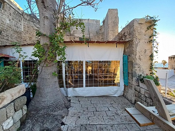 ����� ����