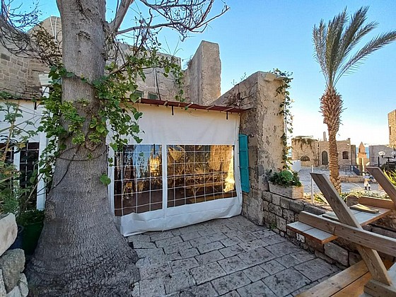 ����� ����