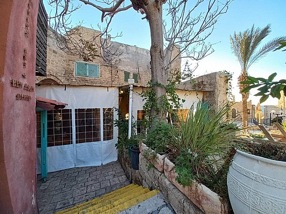 ����� ����