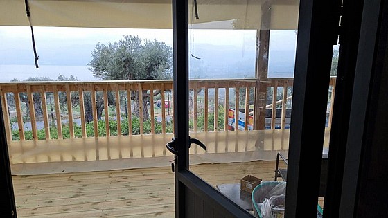 ����� ����