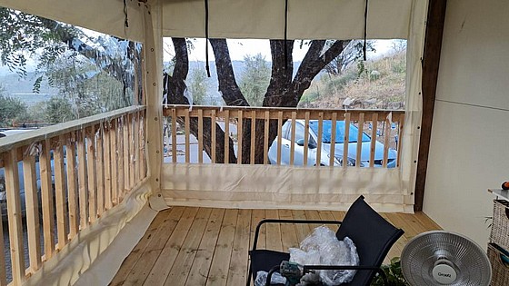 ����� ����